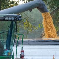 Žetva i rezulati vaganja ogleda kukuruza Trošelji kod Gradiške