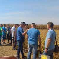 Dane polja kukuruza, soje i suncokreta PI OSIJEK u Djakovu
