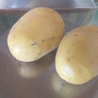 Krompir Corrina, Janja kod Bijeljine