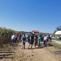 Dani polja kukuruza PI OSIJEK u Velikoj Obarskoj
